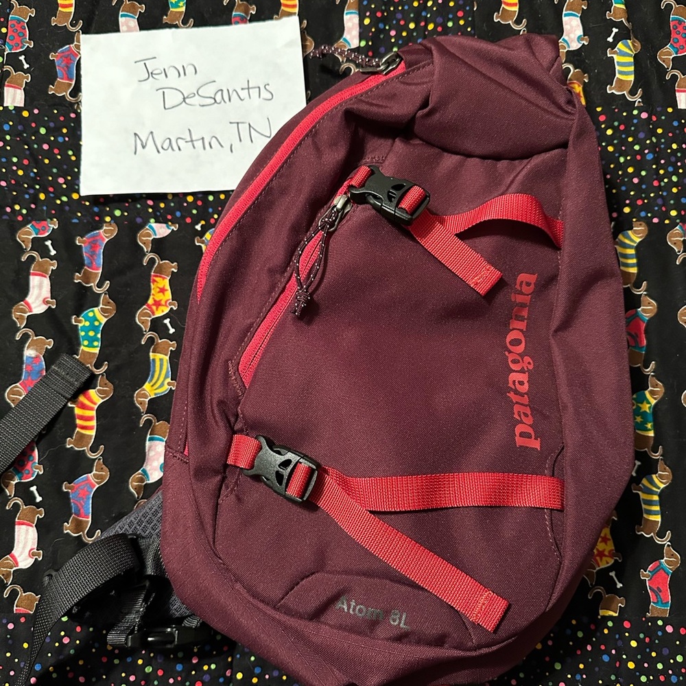 COPY - NWOT Patagonia Atom8L Sling Bag